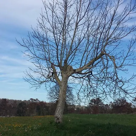 بيت للعطل Trullo Nel Bosco تْشيستيرنِنو