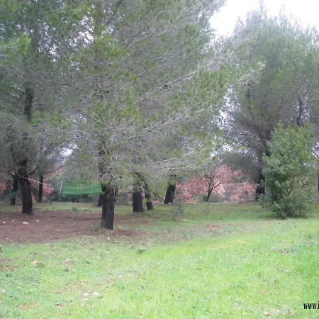 Trullo Nel Bosco Casa de Férias Cisternino